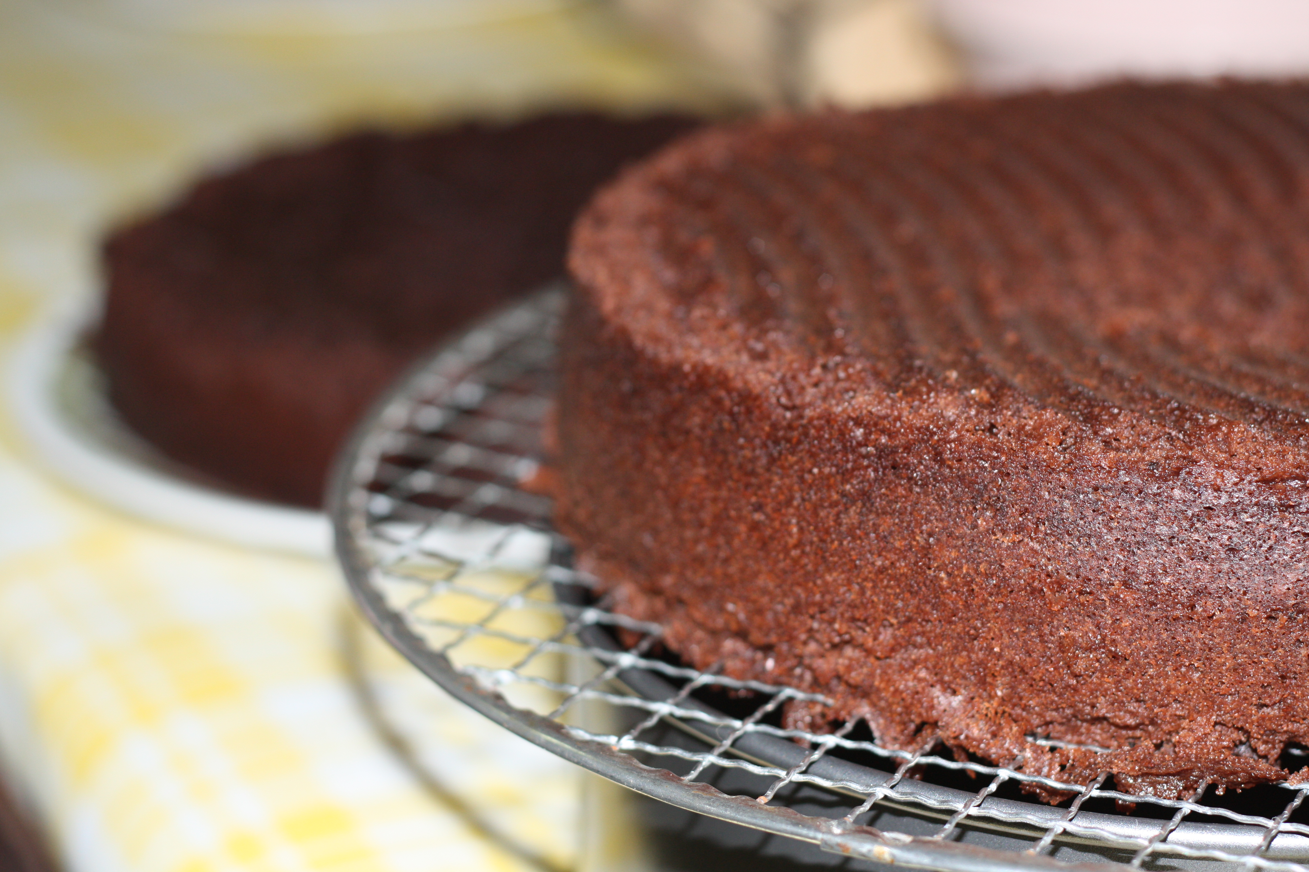 microwave chocolate cake